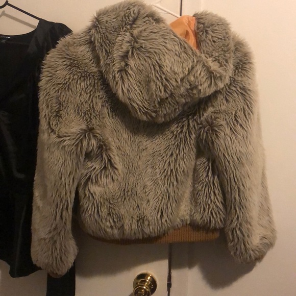 Jacket - Picture 2 of 2